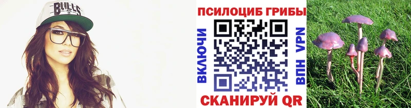 Псилоцибиновые грибы мицелий  наркотики  Старый Оскол 